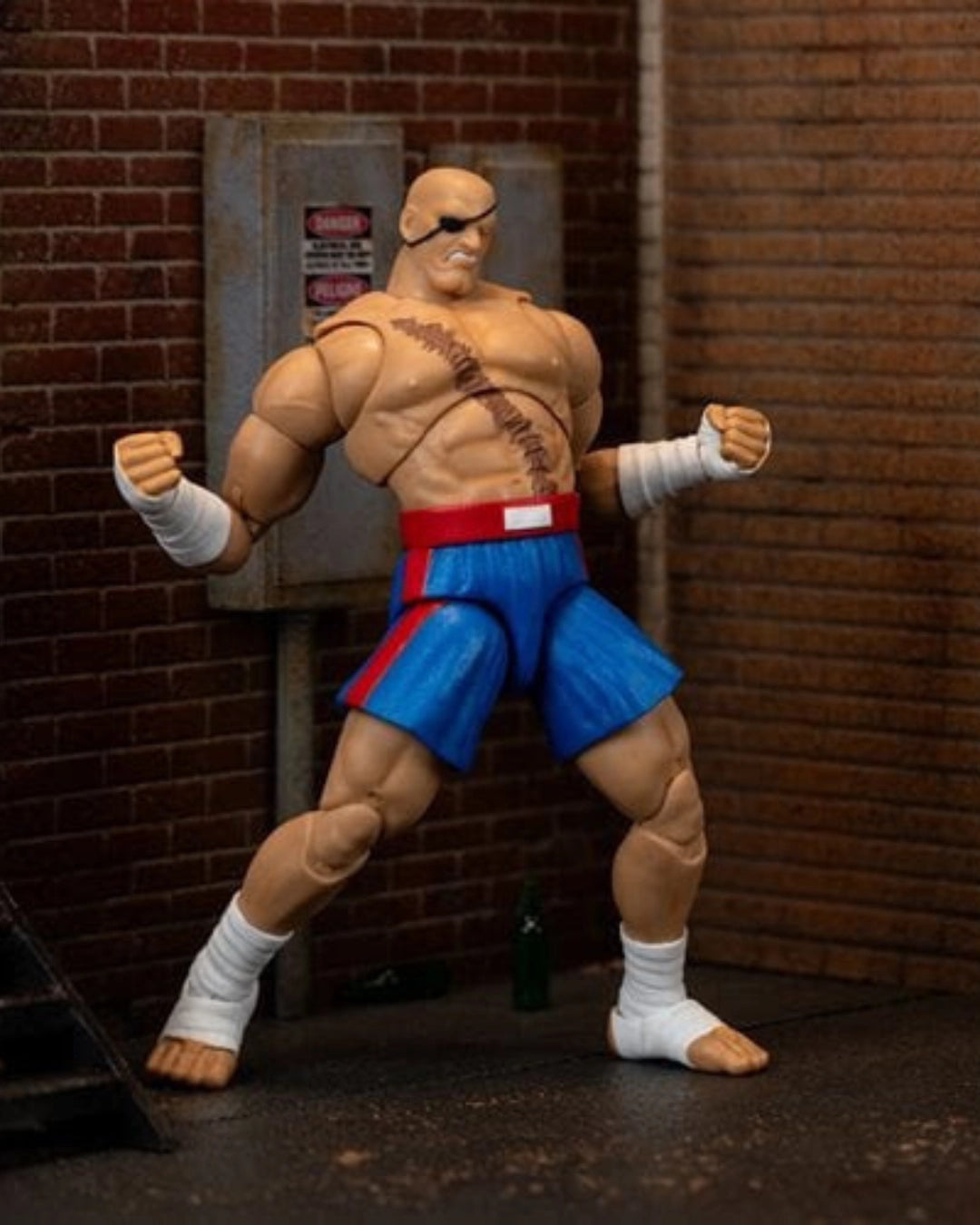 Ultra Street Fighter II Sagat 6-Inch Scale Deluxe Action Figure by Jada Toys