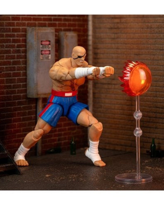 Ultra Street Fighter II Sagat 6-Inch Scale Deluxe Action Figure by Jada Toys