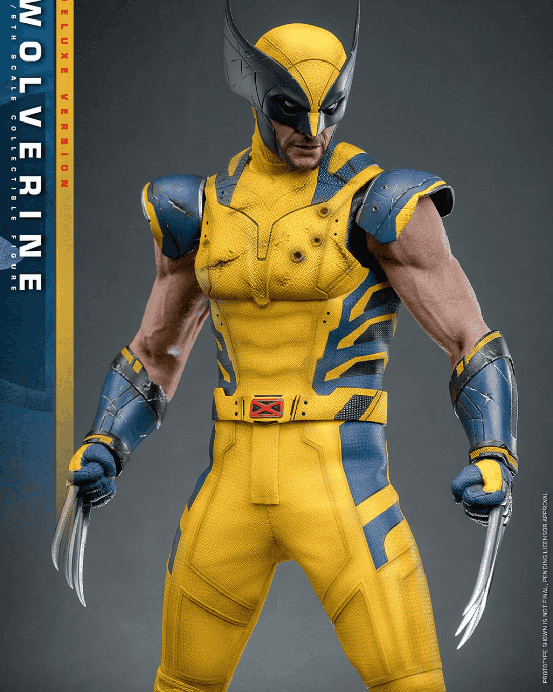 Wolverine (Deluxe Version) Sixth Scale Figure (COMING SOON)