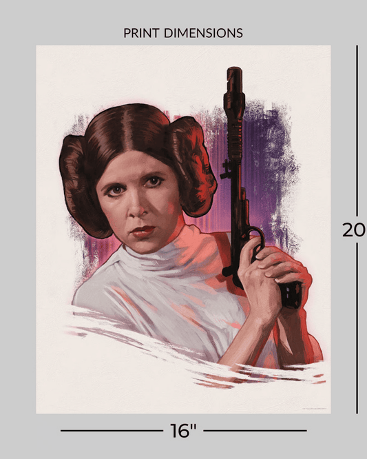 Star Wars Print "The Rebel Diplomat!"