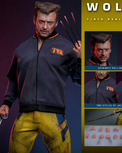 Wolverine (TVA Jacket Version) – Sixth Scale Figure by Hot Toys