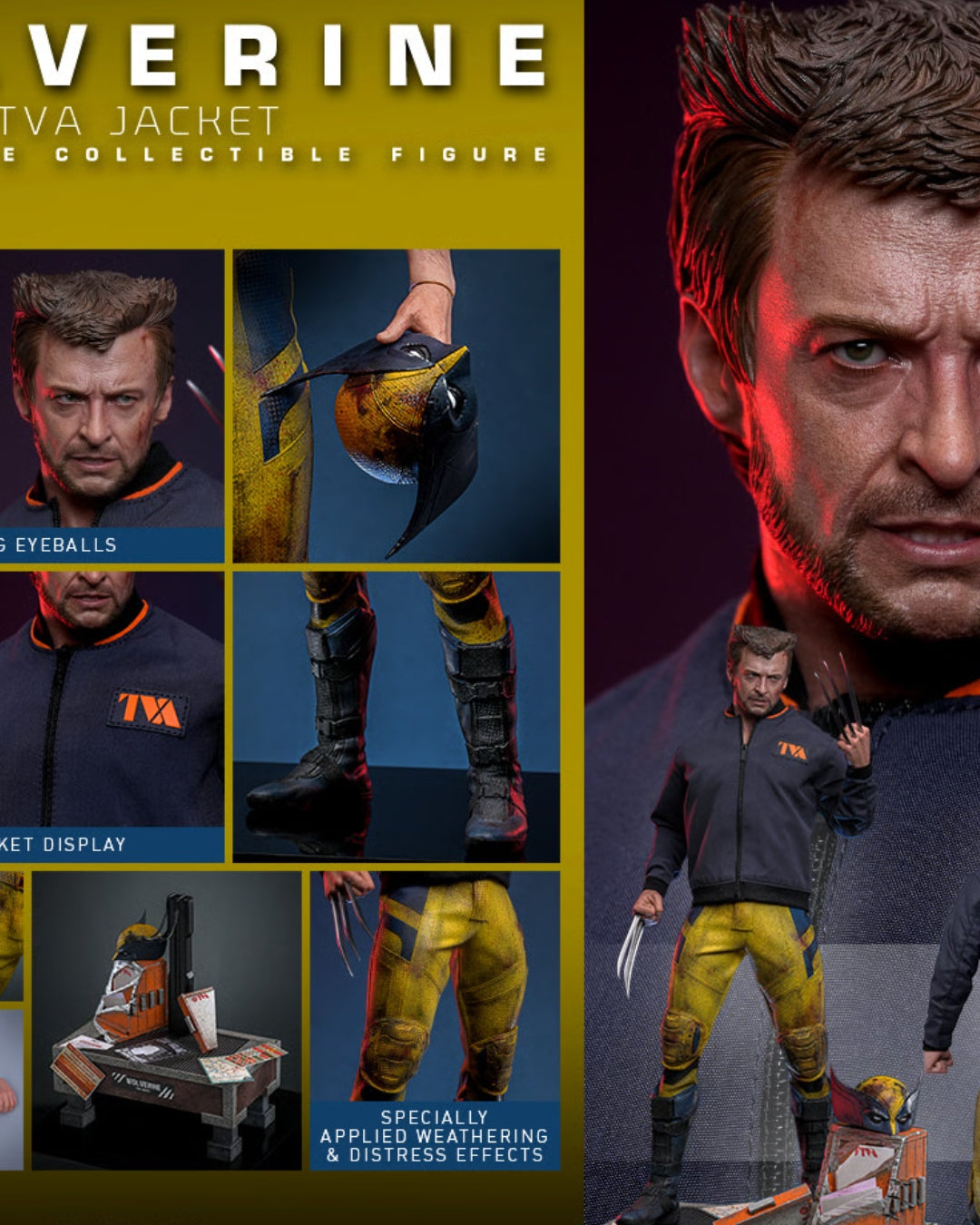Wolverine (TVA Jacket Version) – Sixth Scale Figure by Hot Toys