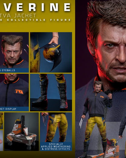 Wolverine (TVA Jacket Version) – Sixth Scale Figure by Hot Toys