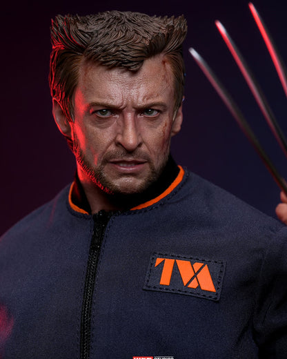 Wolverine (TVA Jacket Version) – Sixth Scale Figure by Hot Toys