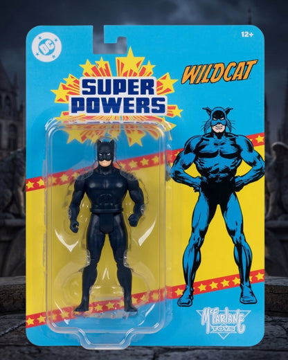 DC Super Powers Wildcat 4 1/2-Inch Scale Action Figure
