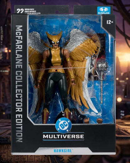 DC McFarlane Collector Edition Wave 15 Hawkgirl Kendra Saunders #63 7-Inch Scale Action Figure