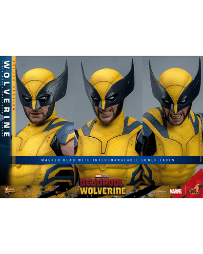 Wolverine (Deluxe Version) Sixth Scale Figure (COMING SOON)