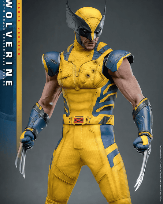 Wolverine (Deluxe Version) Sixth Scale Figure (COMING SOON)