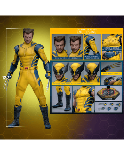 Wolverine (Deluxe Version) Sixth Scale Figure (COMING SOON)