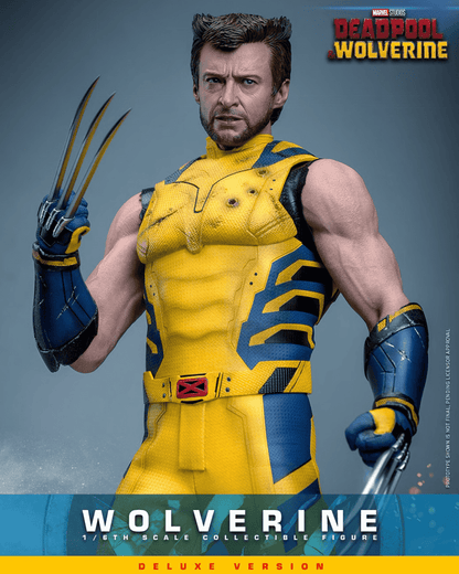 Wolverine (Deluxe Version) Sixth Scale Figure (COMING SOON)
